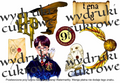 hary potter